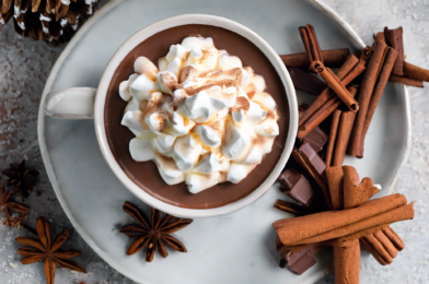 Spiced Hot Cocoa with Whipped Cream